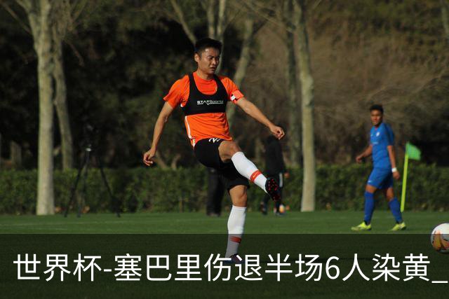 世界杯-塞巴里伤退半场6人染黄 加拿大半场0-0摩洛哥