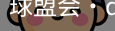 球盟会
